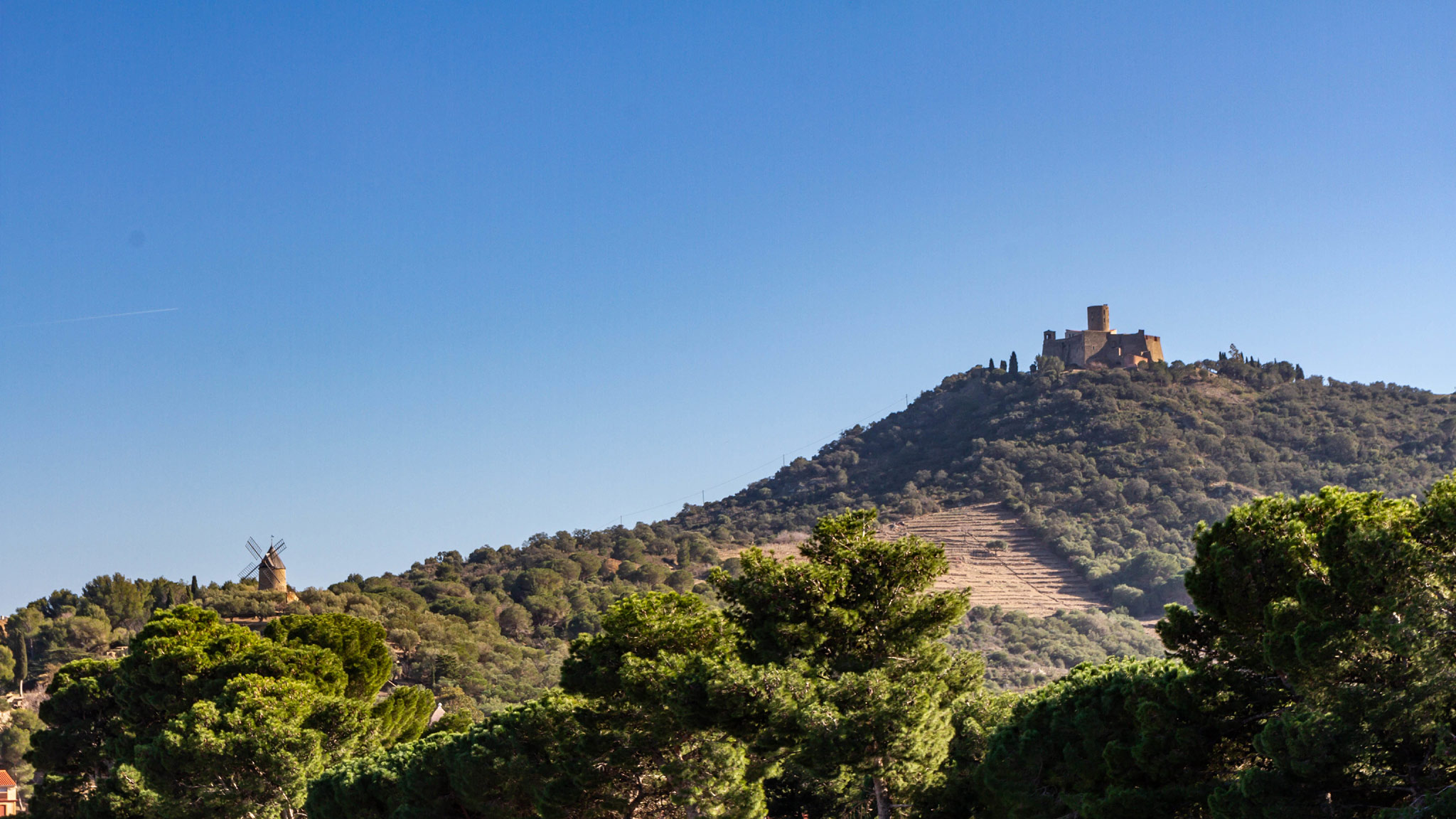 Collioure